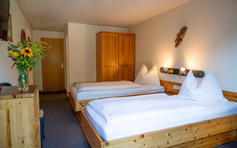 Geisler-Moroder 1100