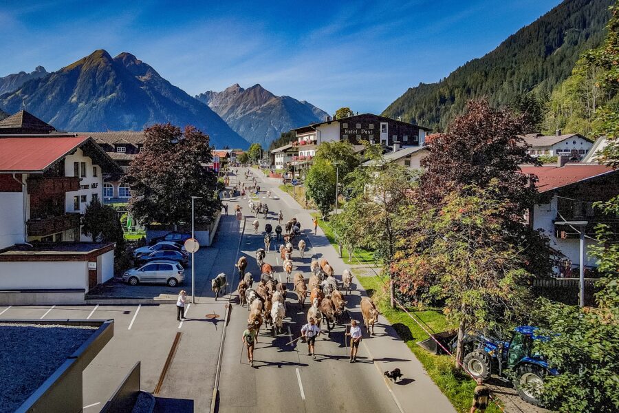 large-Herbst-im-Lechtal-Brauchtum-Almabtrieb-7