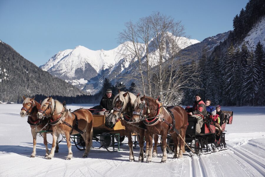 large-Winter-im-Lechtal-Pferdeschlittenfahrt-6